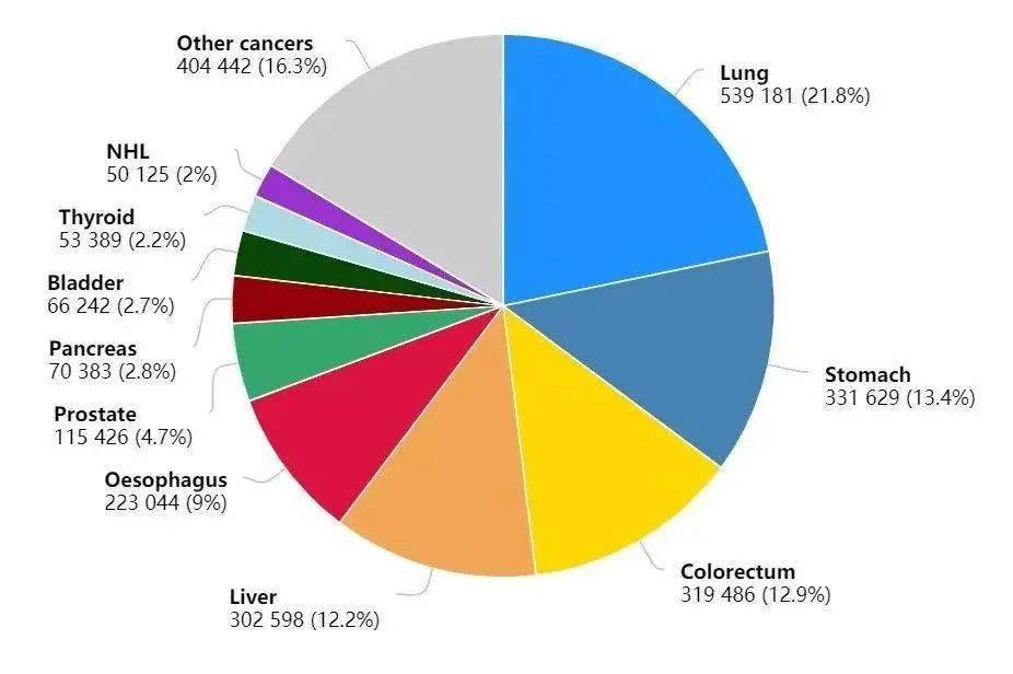 最新肺病统计，揭示全球现状和未来挑战